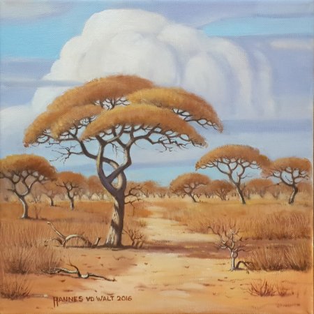 Oil on Stretched CanvasSize: (305x305x17)mmUnframedSOLD 2016 (by SouthAfricanArtists.com)
